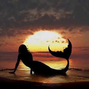 Meet your Posher, Renée